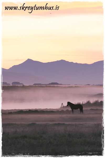 testtest2010-07-16-033515