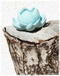 testtest2012-07-24-122055