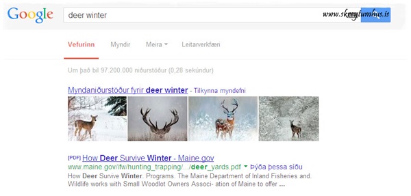 Fullscreen capture 29.10.2013 093445