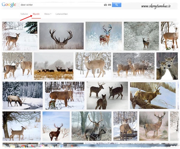 Fullscreen capture 29.10.2013 093459