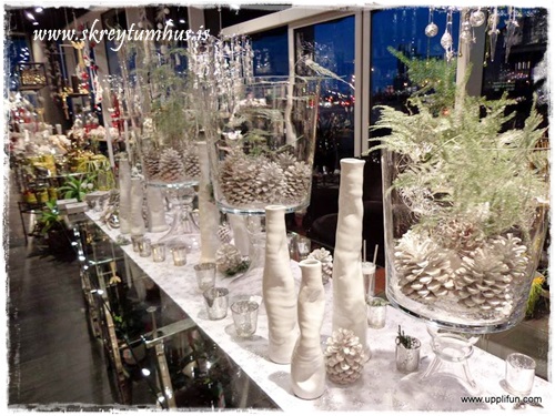 1463112_171920069673244_1051562447_n