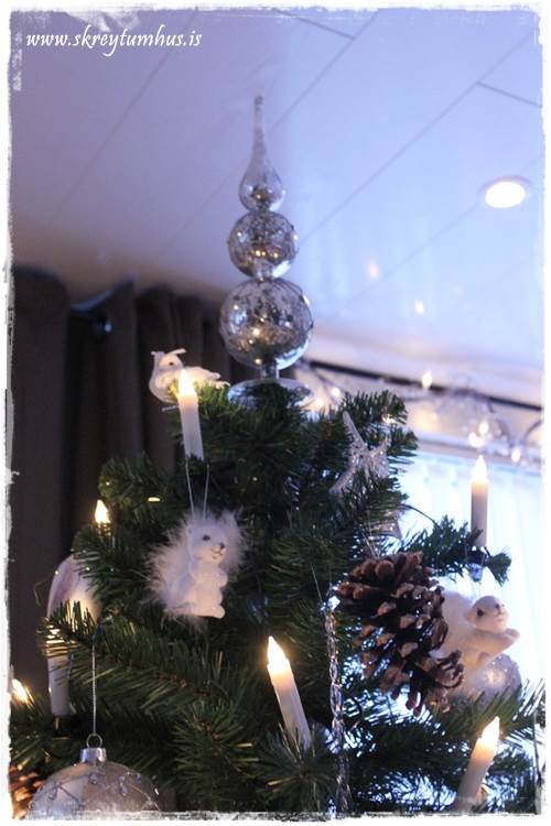 19-2013-12-24-134718