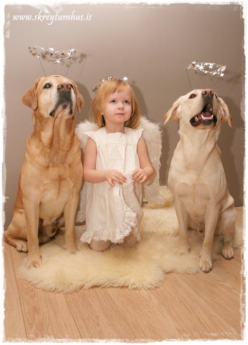 04-2009-12-18-190923