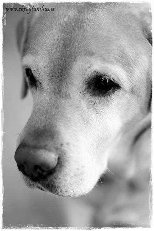 05-2011-05-22-195543