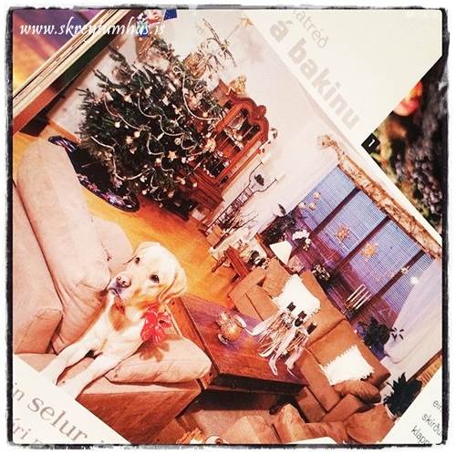 Fullscreen capture 7.4.2014 081254