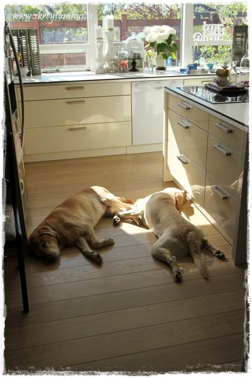 02-2014-05-19-100750