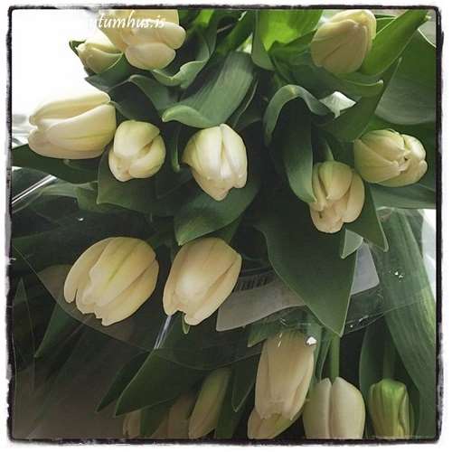 Fullscreen capture 11.5.2014 220713