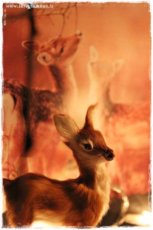 36-2014-10-14-190207