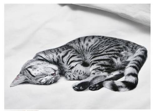 25-Fullscreen capture 26.11.2014 022030