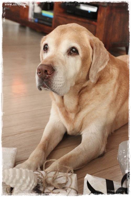 28-2014-12-24-133239