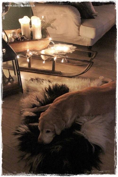 13-2015-01-11-233653