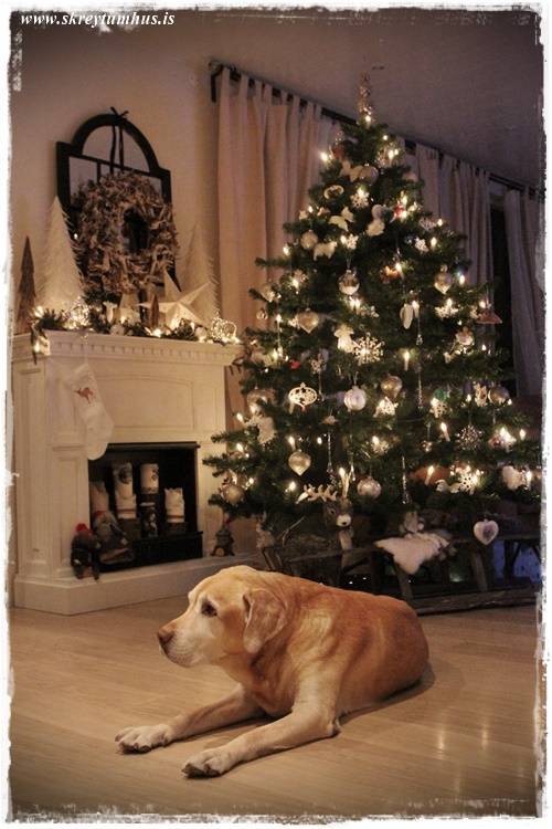 15-2014-12-16-193742