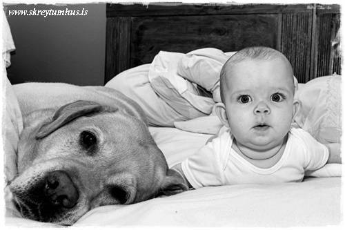 46-Copy of 2006-08-19-102958_(IMG_6085)