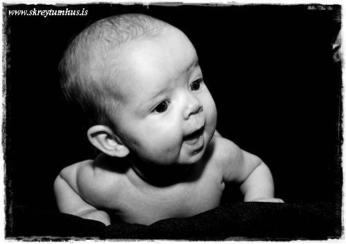 62-2006-05-02-140909_(IMG_3277)