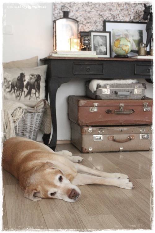 minniggg02-2015-02-16-140216