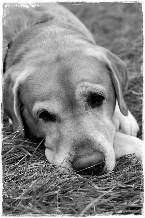 minniggg08-2009-07-11-211700