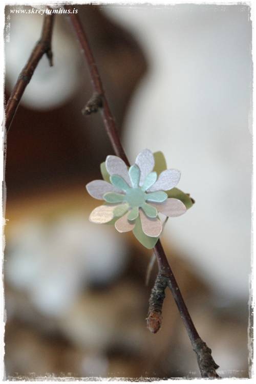 33-2015-03-23-115000