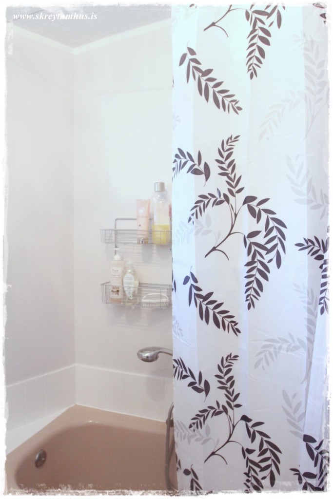 07-Skreytumhus.is 30apr2015-006