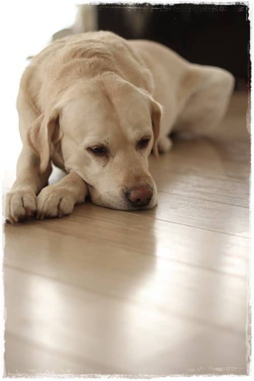 12-2015-02-23-152314