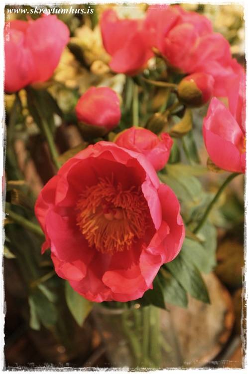 22-2015-04-21-141826