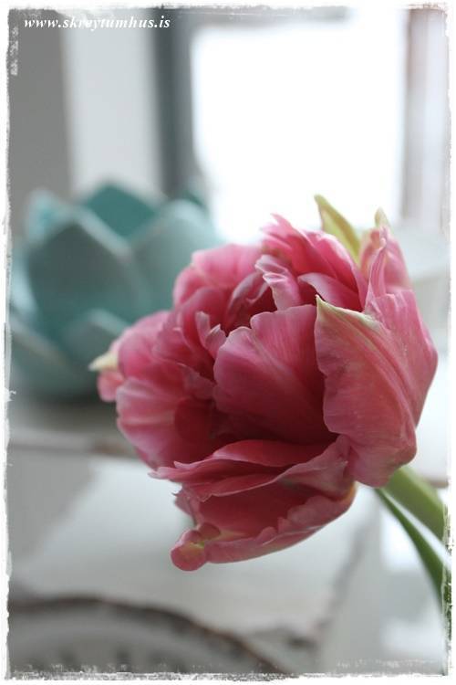 24-2015-04-11-195612