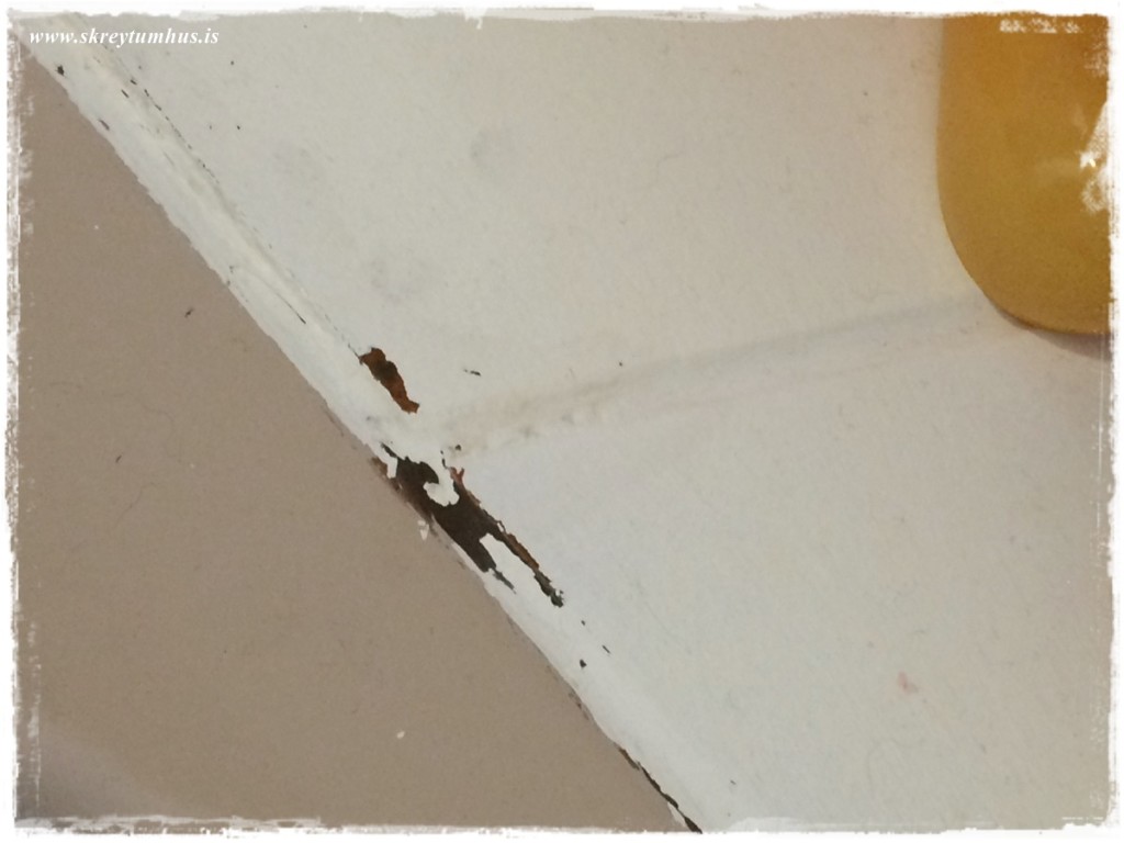 43-Skreytumhus.is 30apr2015-042