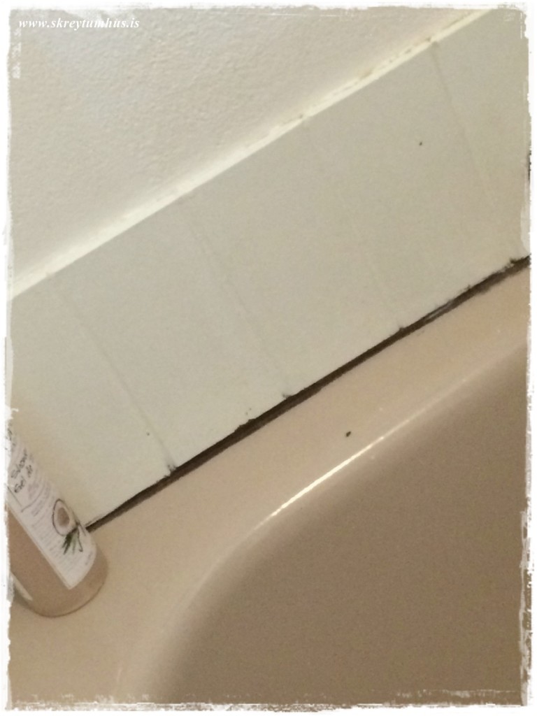 44-Skreytumhus.is 30apr2015-043