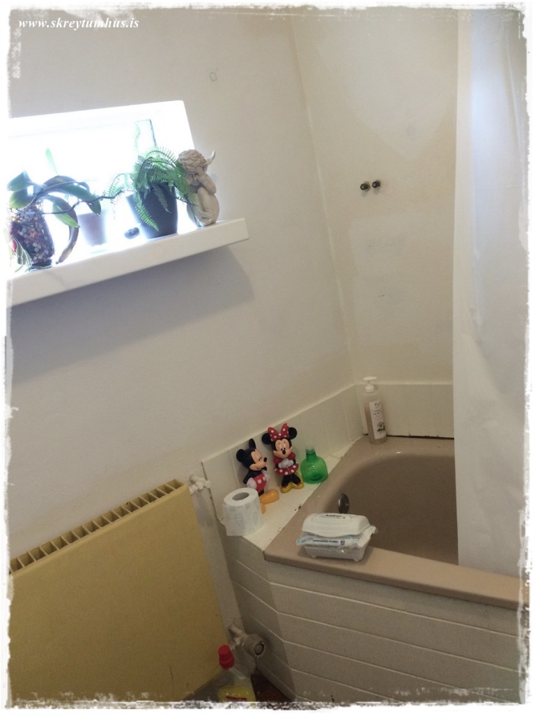 47-Skreytumhus.is 30apr2015-046