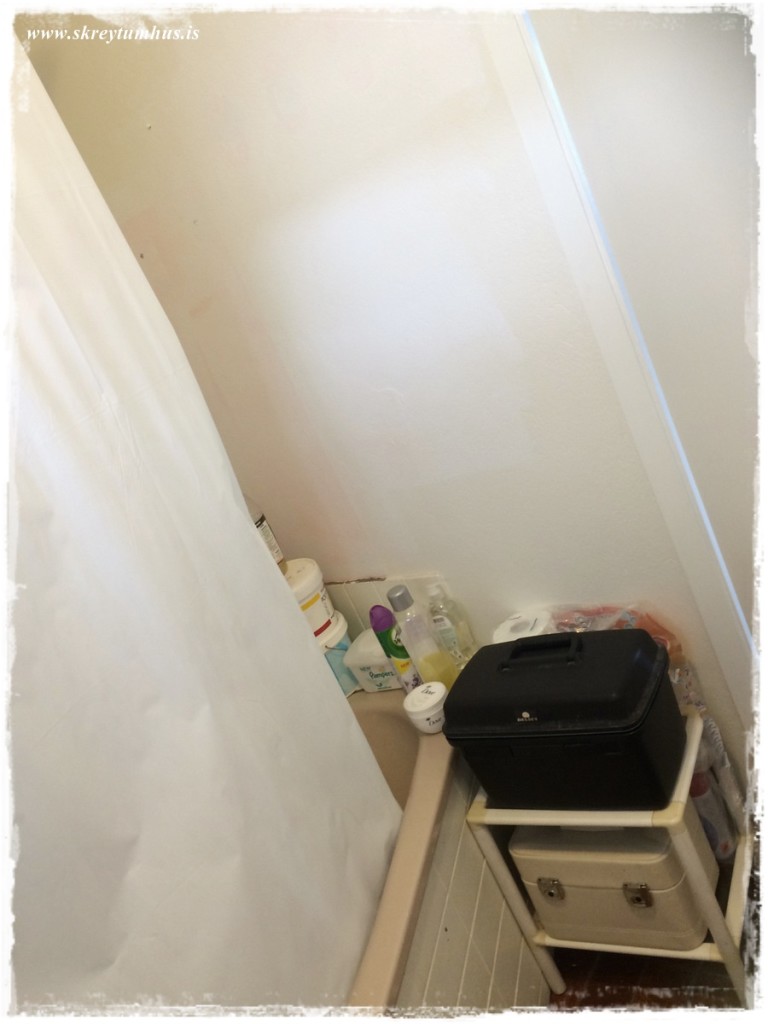 48-Skreytumhus.is 30apr2015-047