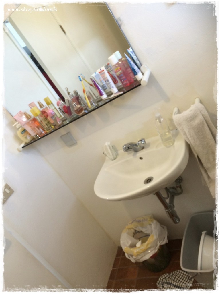 49-Skreytumhus.is 30apr2015-048