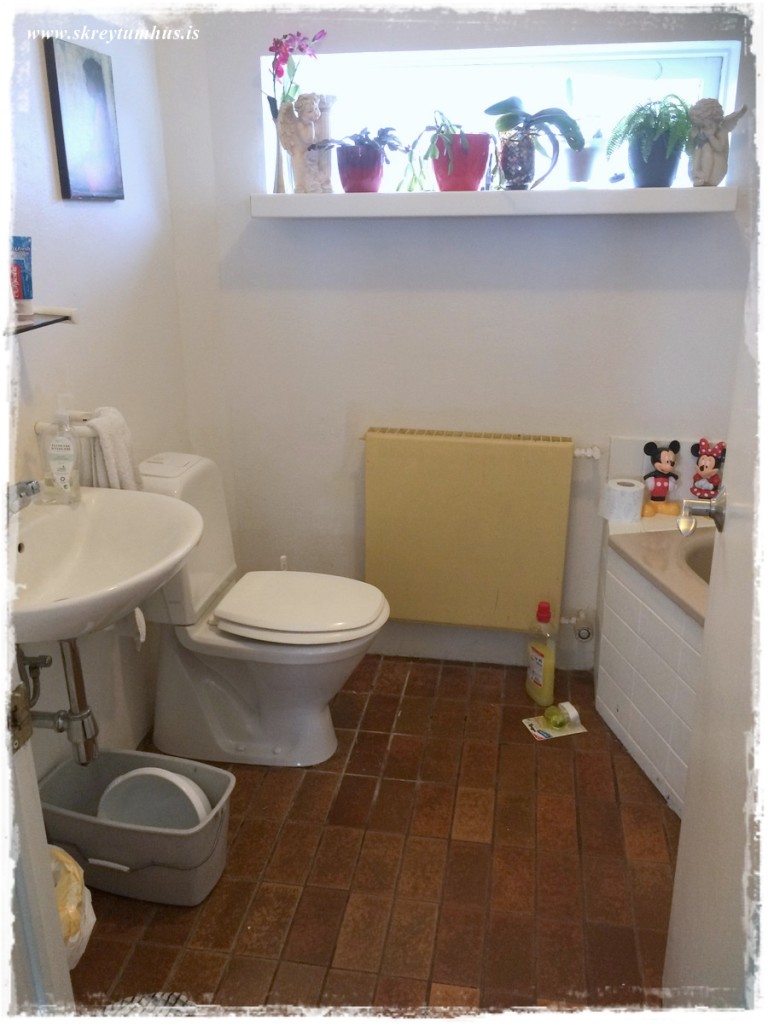 50-Skreytumhus.is 30apr2015-049