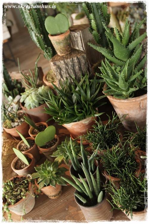 74-2015-04-21-144245