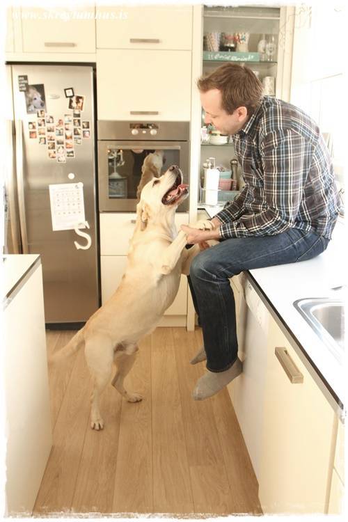 17-2015-05-21-172211