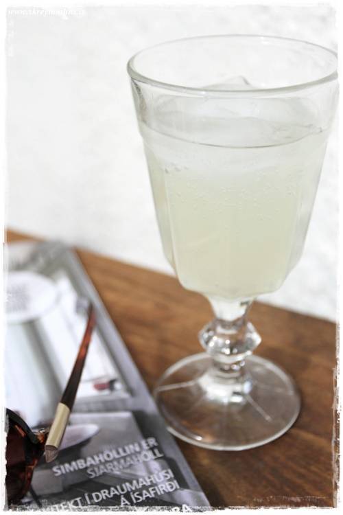 05-Skreytumhus.is-004