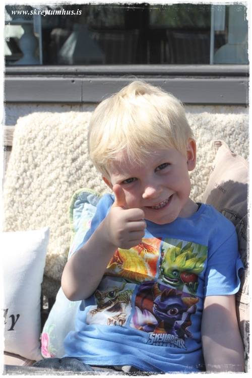 16-Skreytumhus.is 2015-06-030