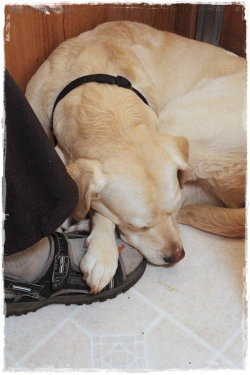 10-www.skreytumhus.is-003