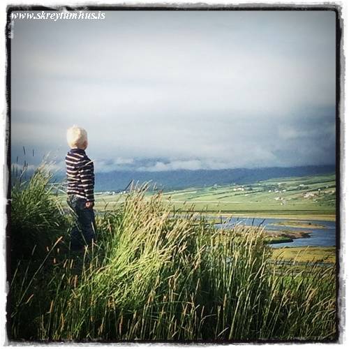 13-www.skreytumhus.is-060