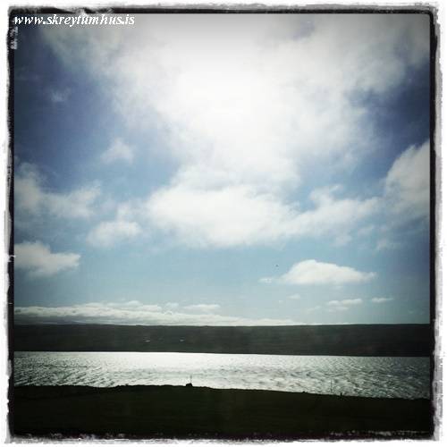 31-www.skreytumhus.is-078