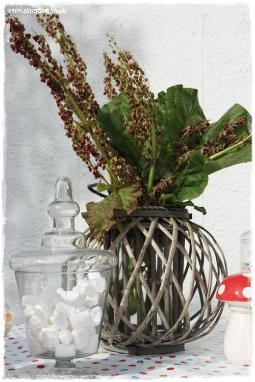 14-www.skreytumhus.is-013