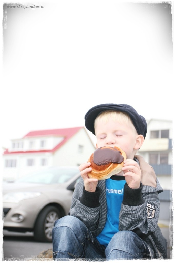 06-www.skreytumhus.is-008 (FILEminimizer)