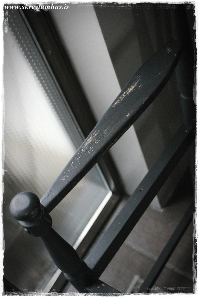 06-www.skreytumhus.is-018