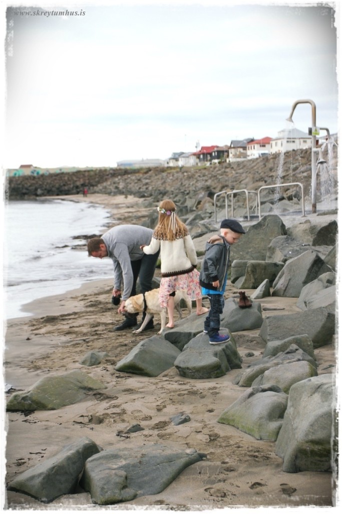 07-www.skreytumhus.is-009 (FILEminimizer)