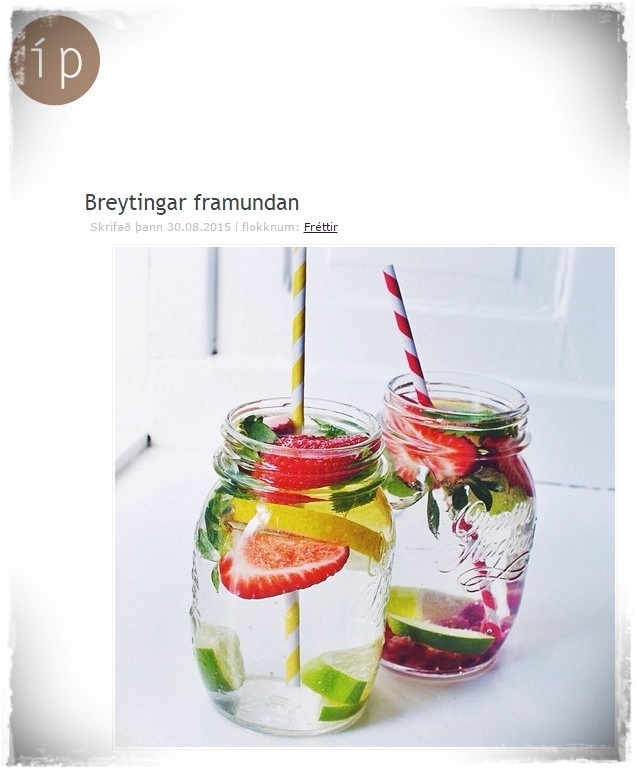 07-www.skreytumhus.is.2015 225027 (FILEminimizer)