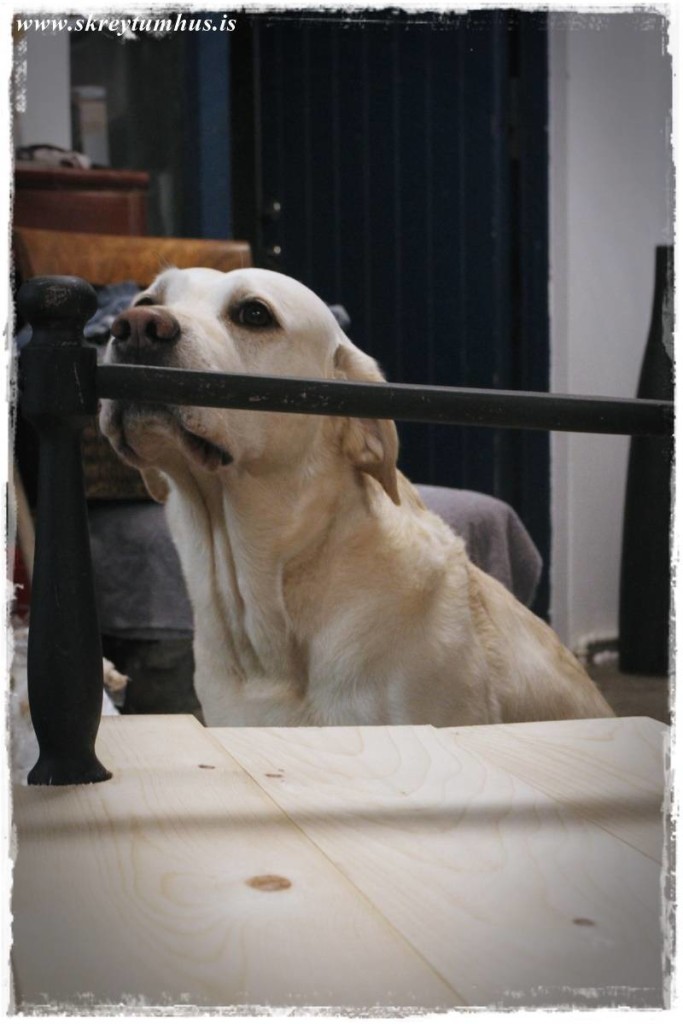 16-www.skreytumhus.is-017