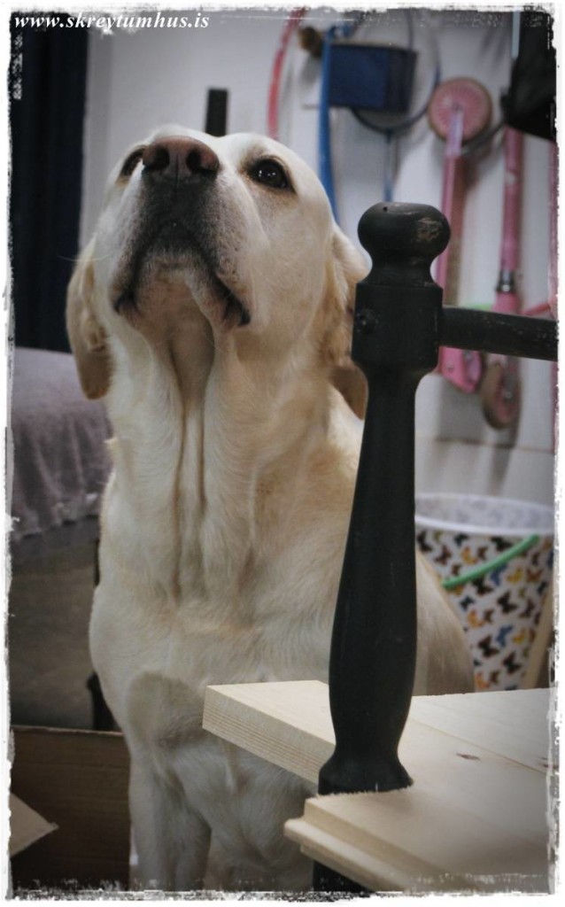 17-www.skreytumhus.is-018