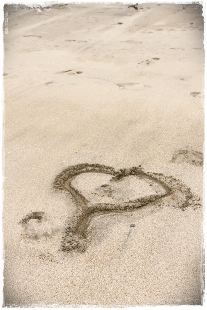 19-www.skreytumhus.is-021 (FILEminimizer)