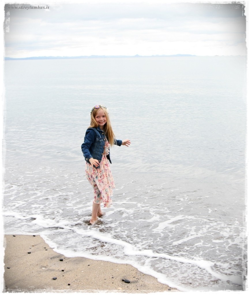 22-www.skreytumhus.is-024 (FILEminimizer)