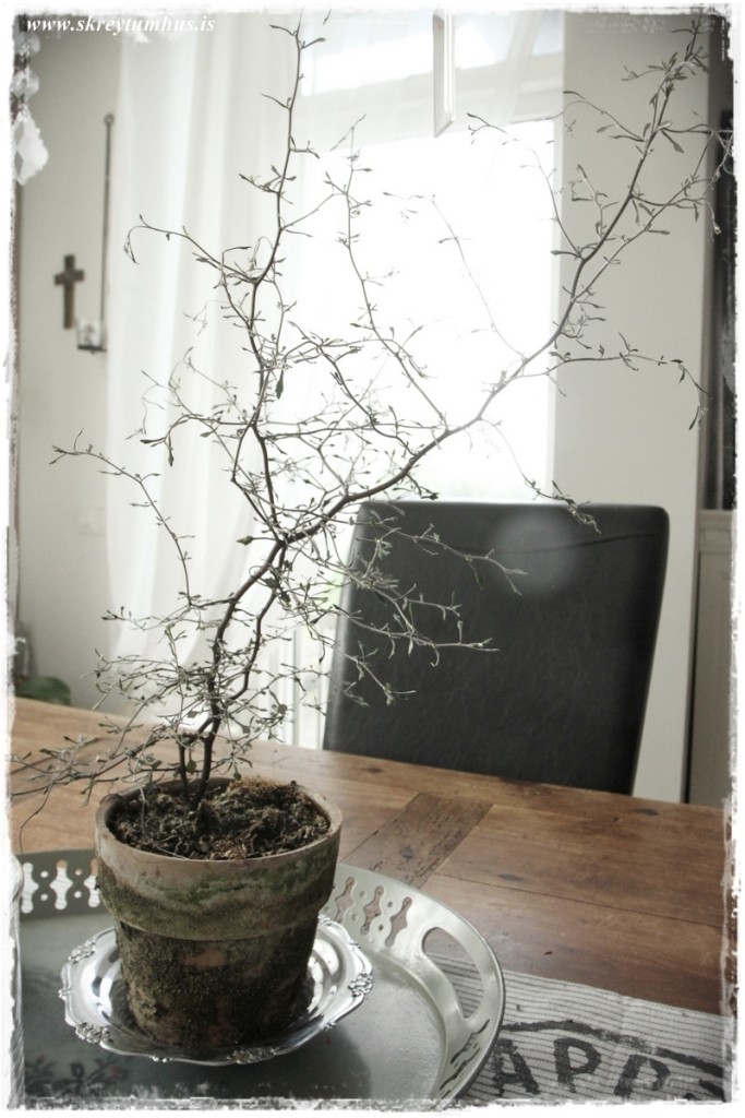 23-www.skreytumhus.is-010 (FILEminimizer)