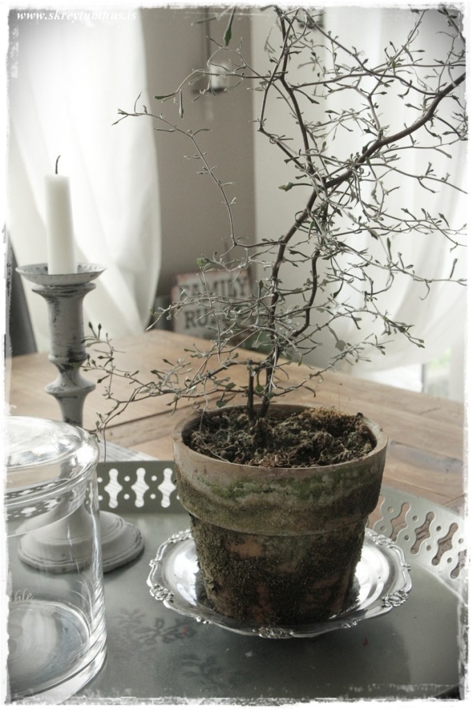 24-www.skreytumhus.is-011 (FILEminimizer)