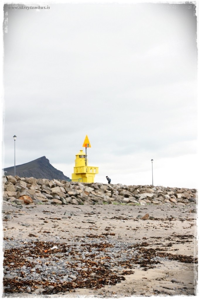 24-www.skreytumhus.is-026 (FILEminimizer)